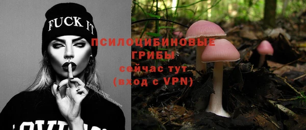 прущие крисы Новокубанск