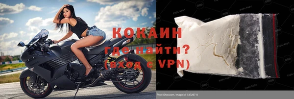 индика Абинск