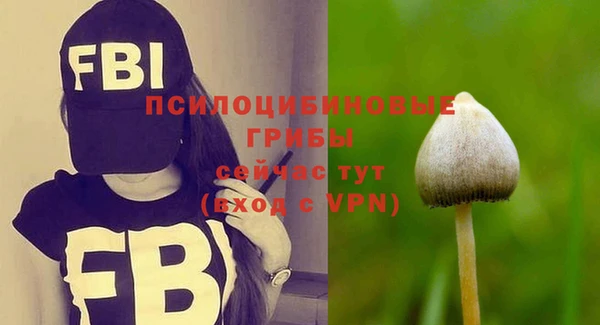 индика Абинск