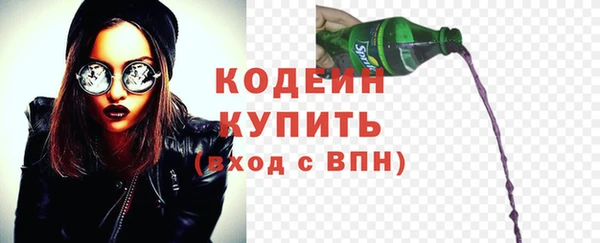 индика Абинск